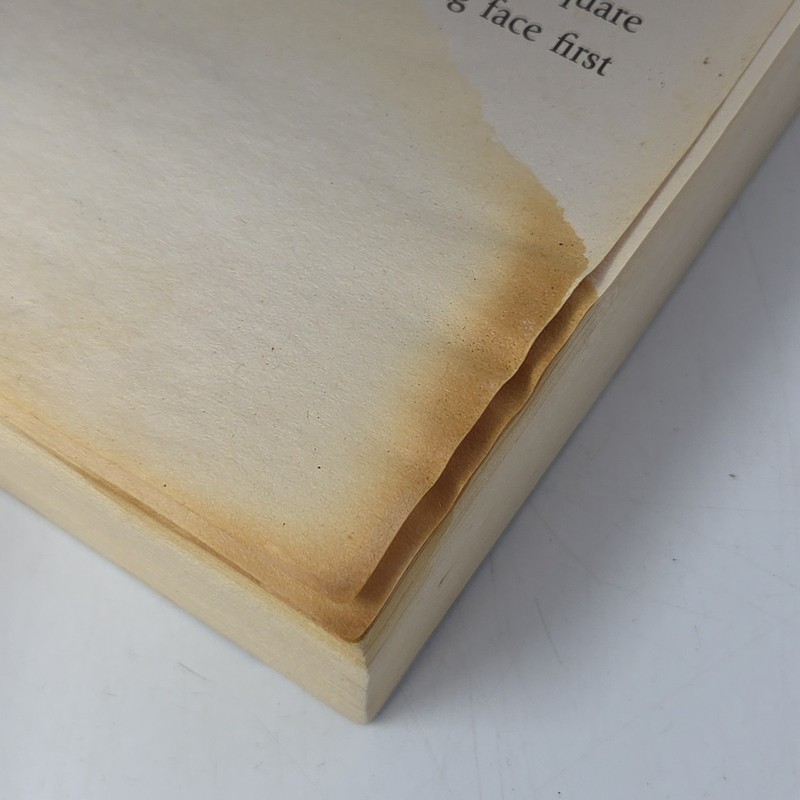 Warhammer 40k 40000 Black Library Iron Guard Mark Clapham book (Water Damaged) gallery