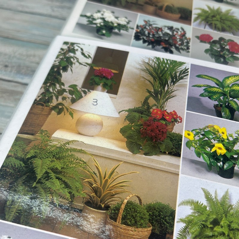 Success with House Plants 4 binders Sets 1 to 19 Plant Care Vintage gallery