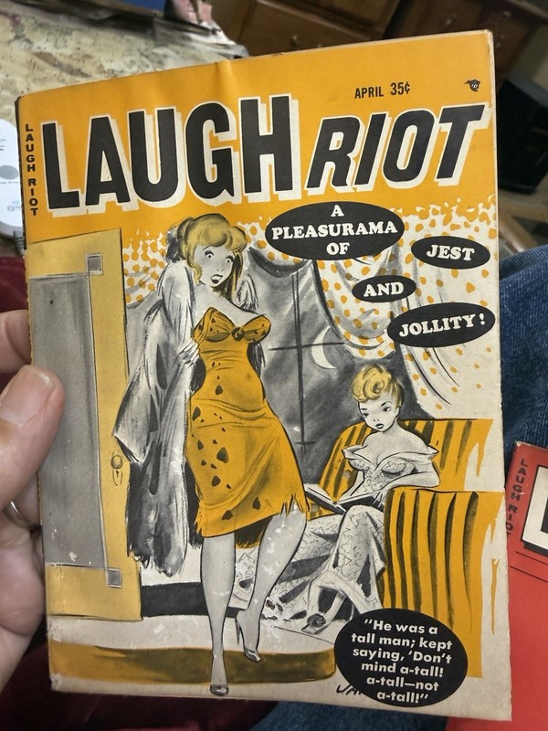 1960s Laugh Riot Cartoon Gag Pin-Up Magazine – April 1964 Issue Bagged