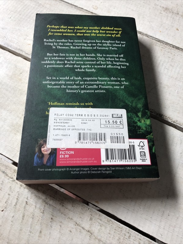 Marriage of Opposites Alice Hoffman Paperback Historical Fiction gallery