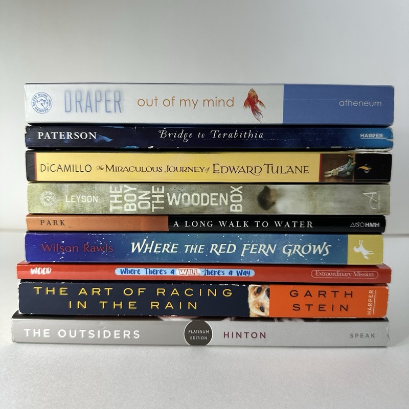 Award-Winning & Inspirational Books, Lot of 9, Young Teen & Young Adult, Good