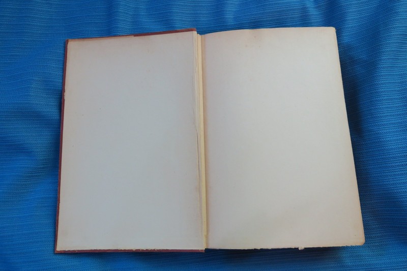 THE FOES OF OUR OWN HOUSEHOLD by Theodore Roosevelt HC 1917 1st Edition! gallery