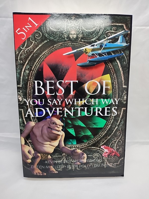 5 In 1 Best Of You Say Which Way Adventures Book