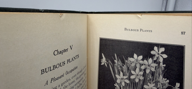 AQ Milady’s House Plants 1926 F.E. Palmer Home & Garden Book HC gallery