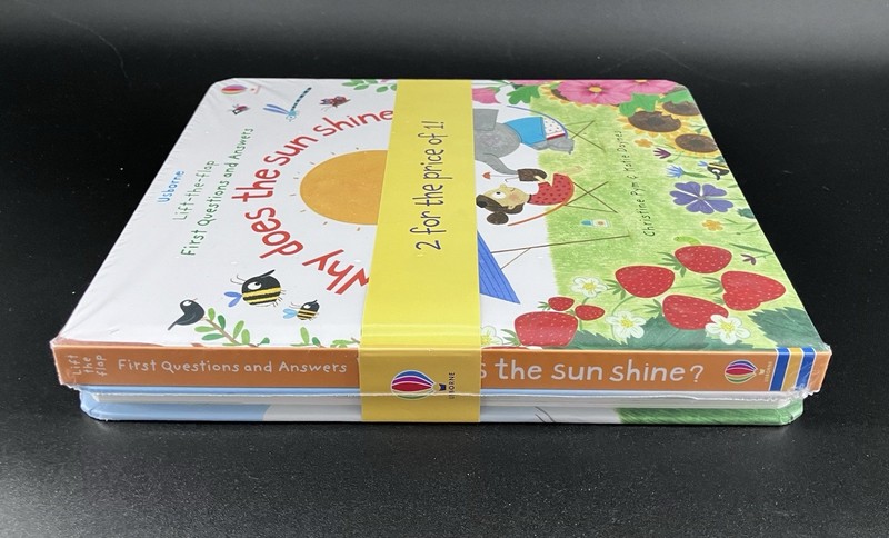Why Does the Sun Shine / What Makes It Rain 2-pack Board Lift The Flap Book Set
