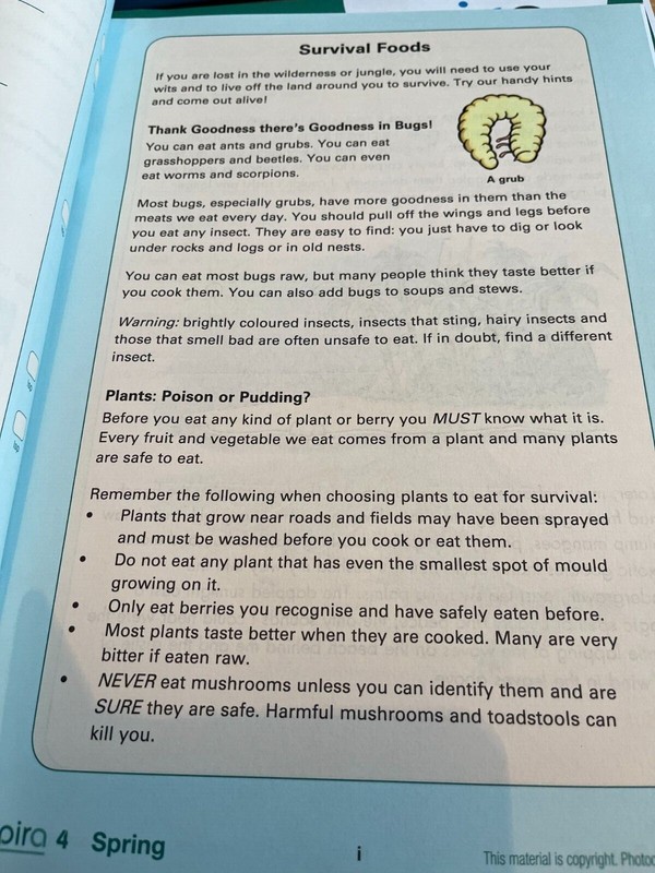 PIRA (PROGRESS IN READING ASSESSMENT) SPRING YEAR 4. TEST PAPER AND ANSWERS. NEW gallery