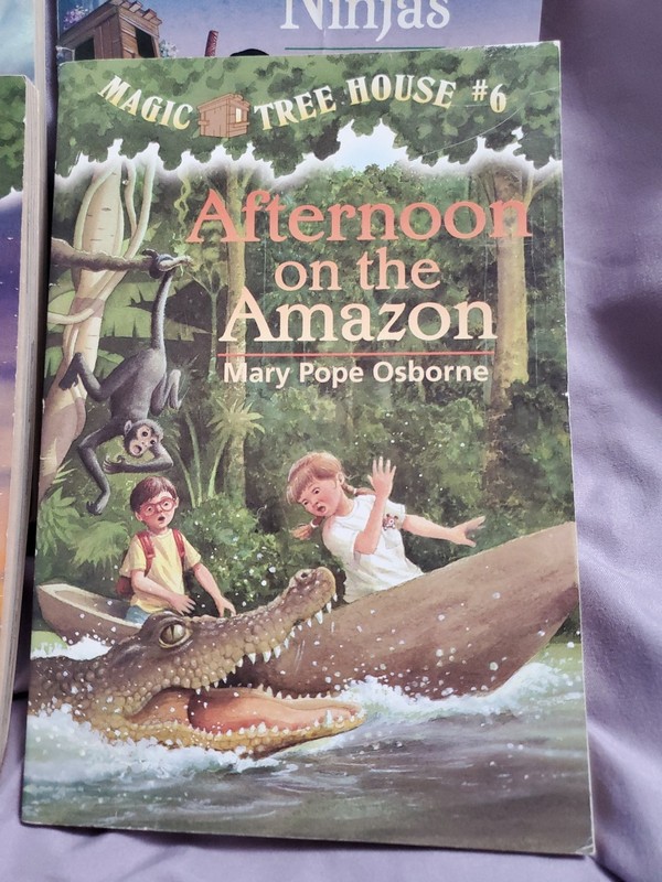 Lot Of Magic Tree House Chapter Books 1, 5, 6, & 7, 1992 To 1996 Vintage Readers gallery