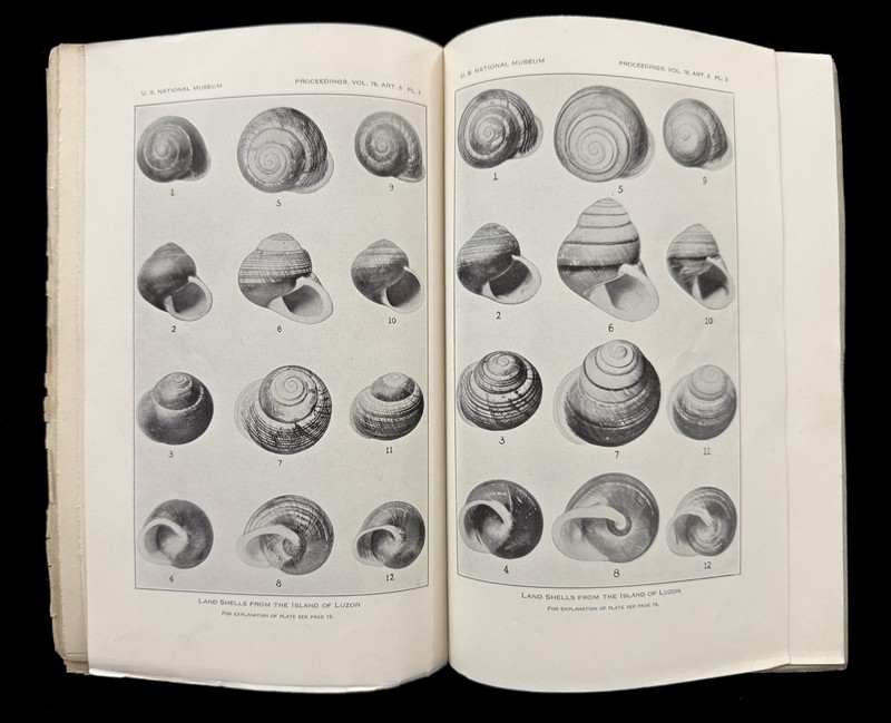 LAND SHELLS FROM THE ISLAND OF LUZON PHILIPPINES 1930 SMITHSONIAN PAUL BARTSCH