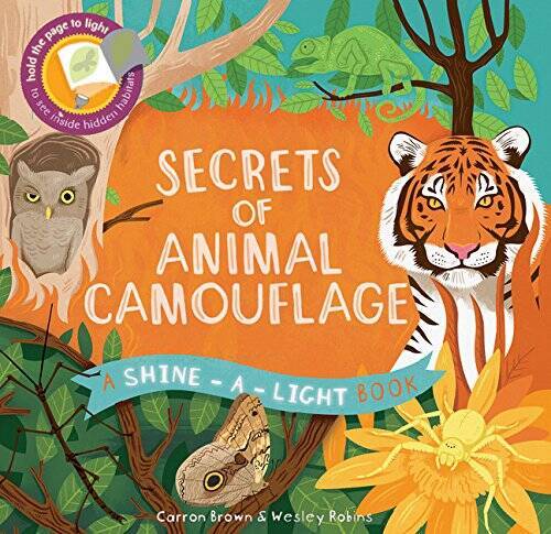 Secrets of Animal Camouflage: A Shine-a-Light Book – Hardcover – GOOD