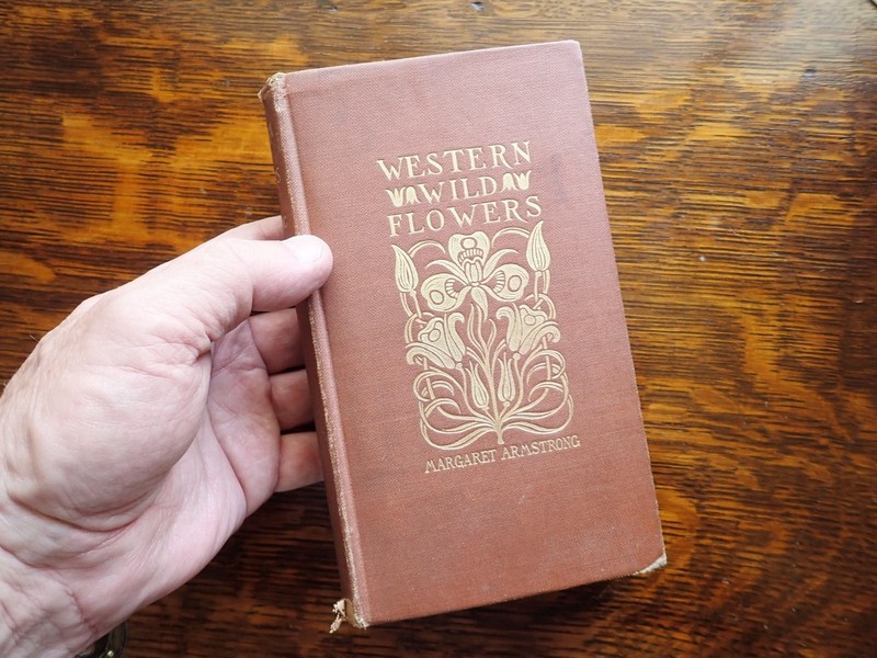 1915 Field Book Western Wild Flowers Margaret Armstrong 1st Edition