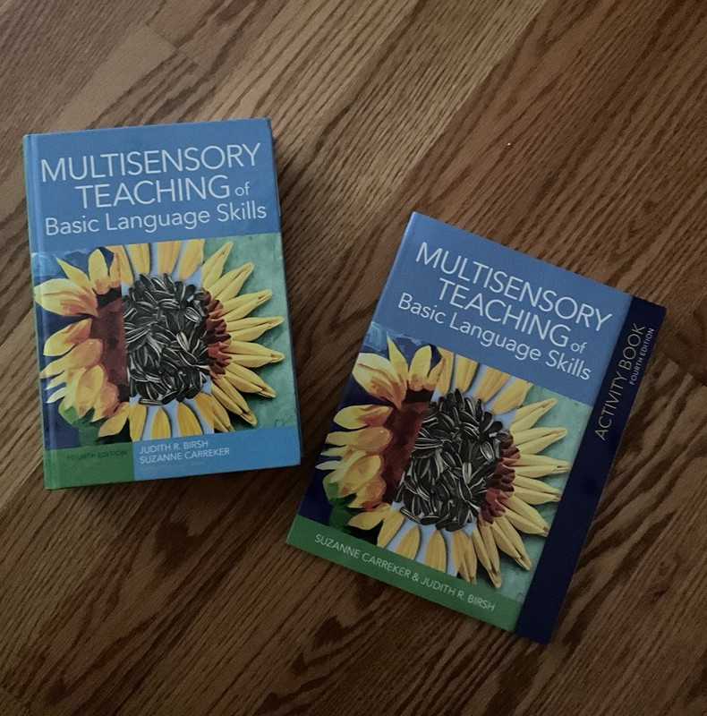 DEFECTIVE Multisensory Teaching of Basic Language Skills by Suzanne Carr G3D