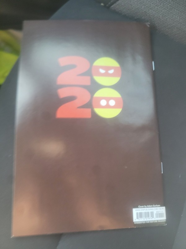 Teenage Mutant Ninja Turtles Annual 2020 (IDW) Tom Waltz / Adam Gorham gallery