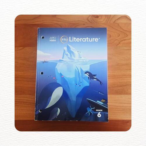 HMH Into Literature Grade 6 – Perfect Paperback – ACCEPTABLE
