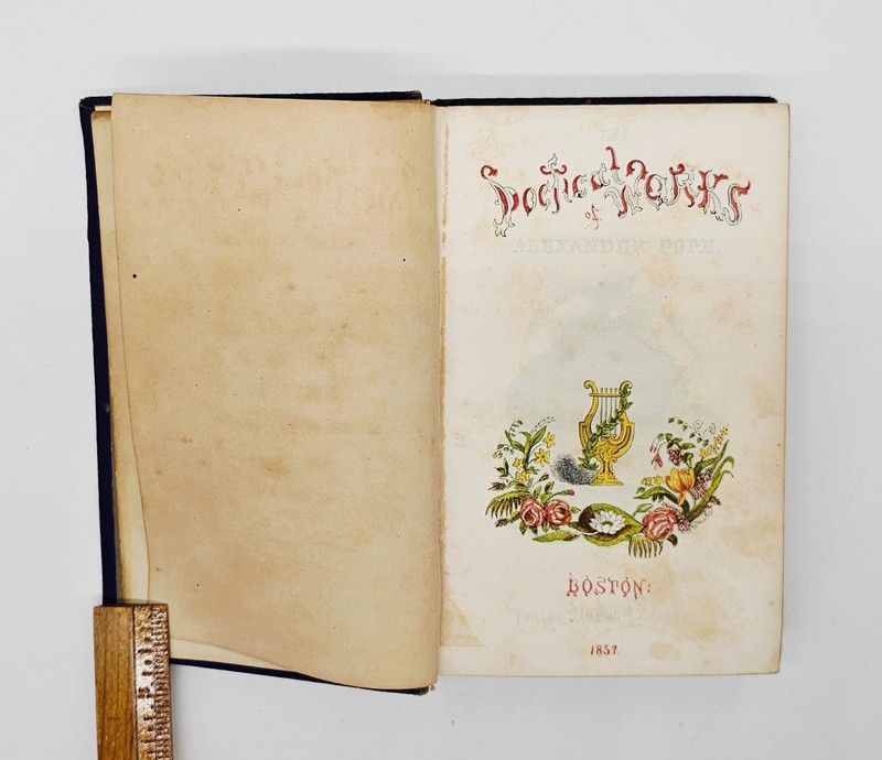 Political Works of Alexander Pope 1857-58 Two Volumes in One HC 306 pages
