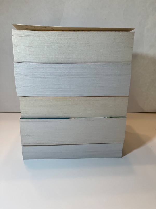 High School and Beyond Lot of Alice Series books by Phyllis Reynolds Naylor gallery