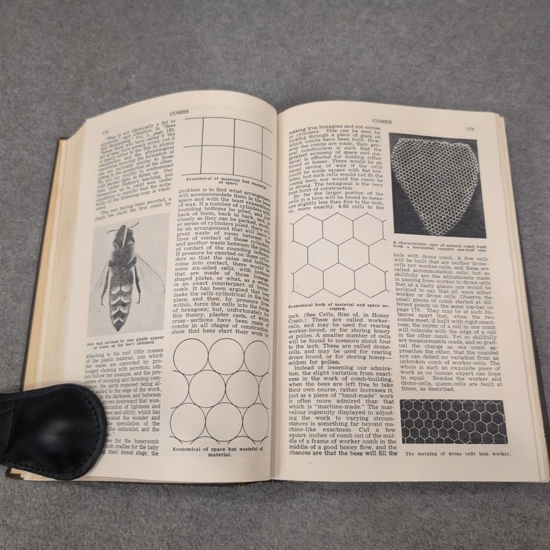 ABC and XYZ of Bee Culture A.I. Root 1947 Edition Hardcover Beekeeping Book gallery
