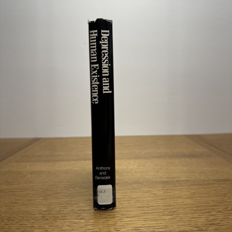 Depression and Human Existence E. James Anthony Therese Benedek (1975) FIRST Ed gallery