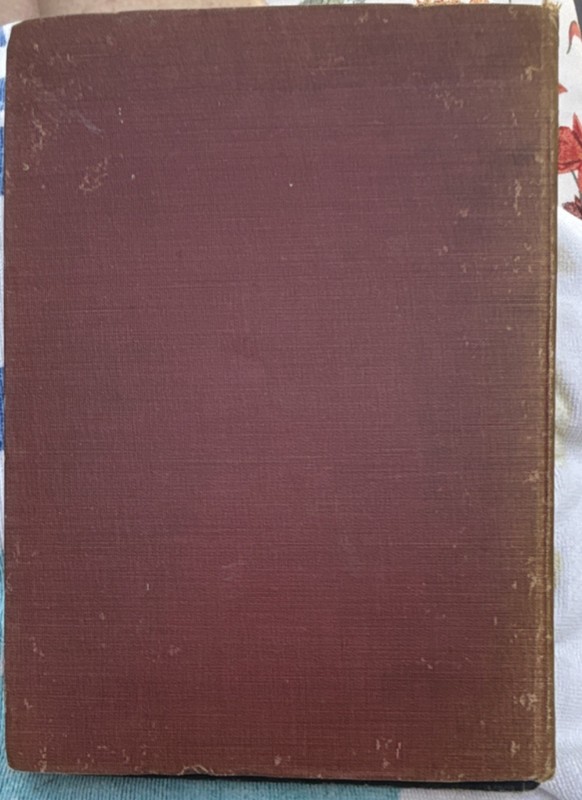 Robert Louis Stevenson A Child's Garden of Verses Whitman 1921 Cloth Illustrated gallery