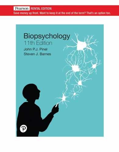Biopsychology [RENTAL EDITION] – Paperback, by John P.J. Pinel – Very Good