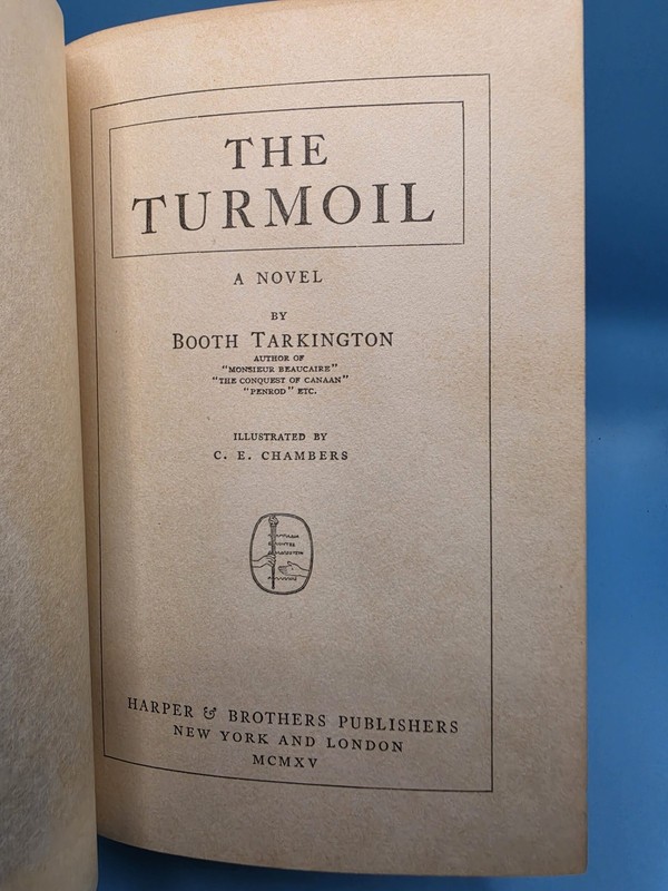 The Turmoil gallery