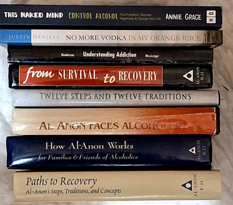 Al-Anon/AA Lot of 8 Books 5HC /3 PB 12 Steps & Traditions, How Al-Anon Works…