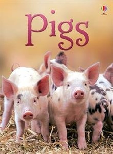 Pigs – IR, James Maclaine