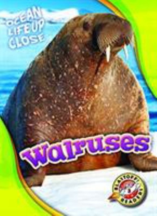 Walruses Hardcover Kari Schuetz