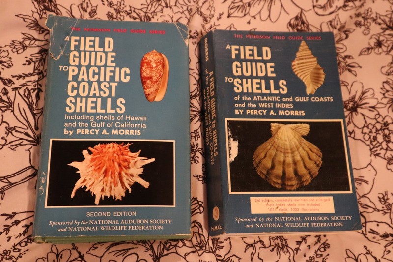 FIELD GUIDE TO PACIFIC COAST SHELLS & FIELD GUIDE TO ATLANTIC SHELLS !
