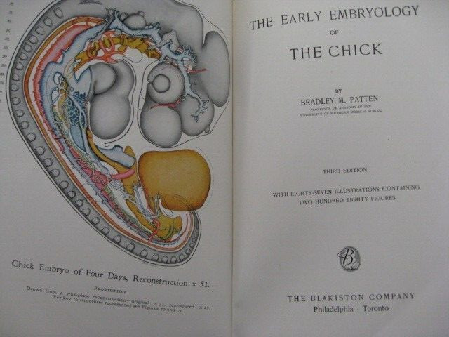 Early Embryology of the Chick – 3rd Edition by Bradley M. Patten