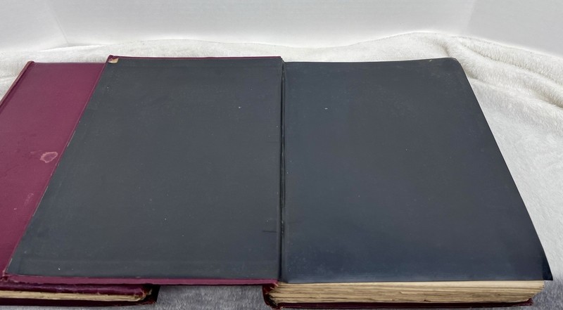 The Hermetic & Alchemical Writings of Paracelsus - First Edition - 1894 - 2 VOL. gallery