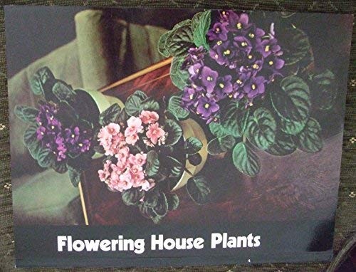 Flowering House Plants Encyclopaedia of Gardening Time Life UK