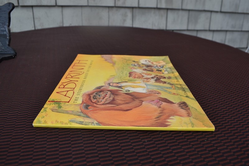Labyrinth by Louise Gikow 1986 PB gallery