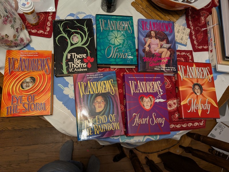 V.C. Andrews Books, Good Condition. Read Them All. Classics