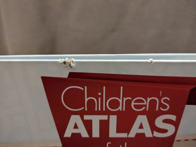 Masterbooks Children's Atlas of the U.S.A. & Passport to America by Craig Froman gallery