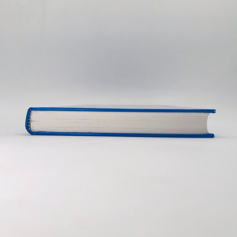 Digital Control: Fundamentals, Theory & Practice, Forsythe & Goodall SHIPS FREE! gallery