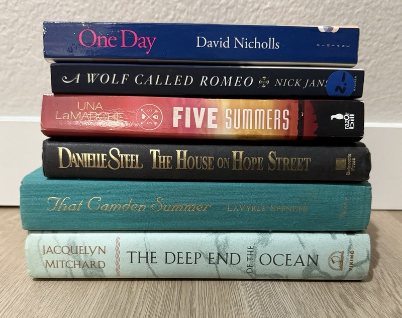 Mixed Fiction Book Lot – Romance, Mystery, Thriller & Literature – 22 Books gallery