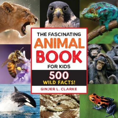 Ginjer Clarke The Fascinating Animal Book for Kids (Paperback) Fascinating Facts