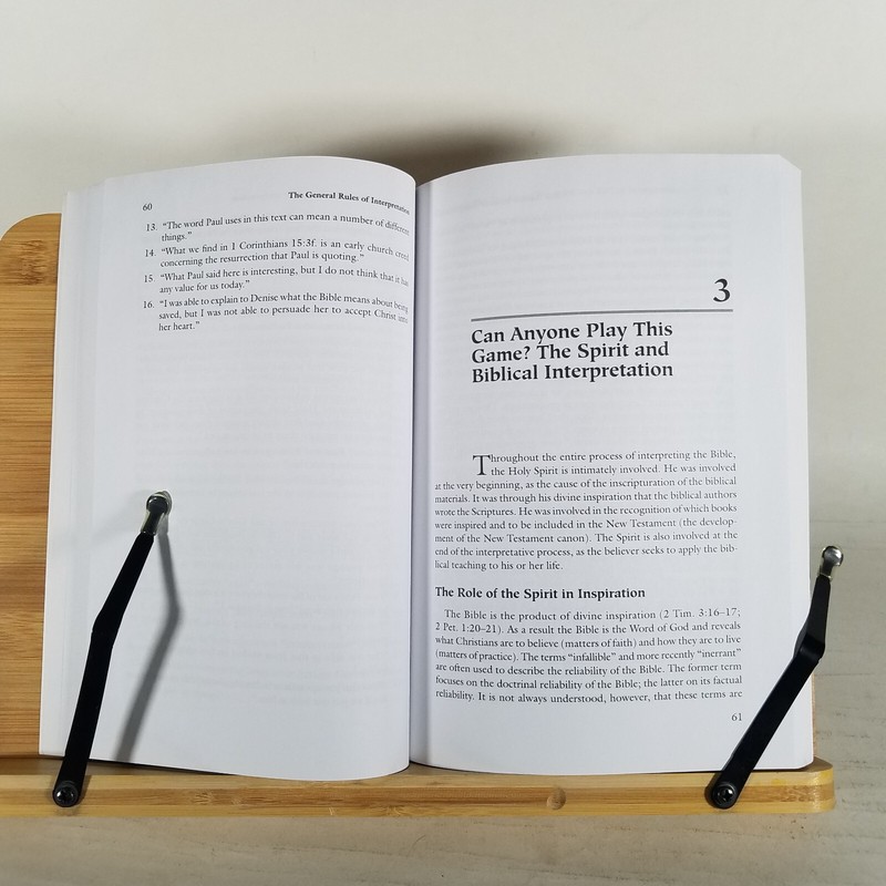 A Basic Guide to Interpreting the Bible: Playing by the Rules by Robert H. Stein gallery