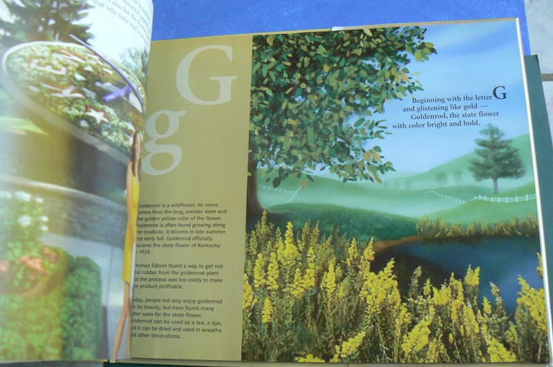 B Is for Bluegrass - A Kentucky Alphabet, lg.HC/DJ Riehle/Burgiss PRETTY gallery
