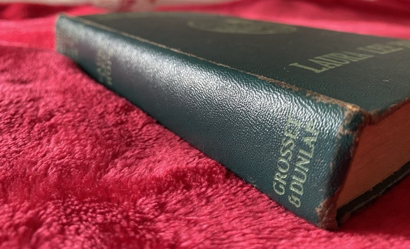 1918 HC copy of The Bobbsey Twins On The Deep Blue Sea by Laura Lee Hope gallery