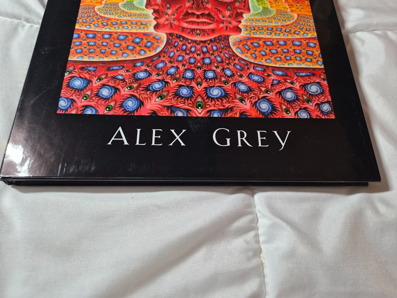 Net of Being by Alex Grey gallery
