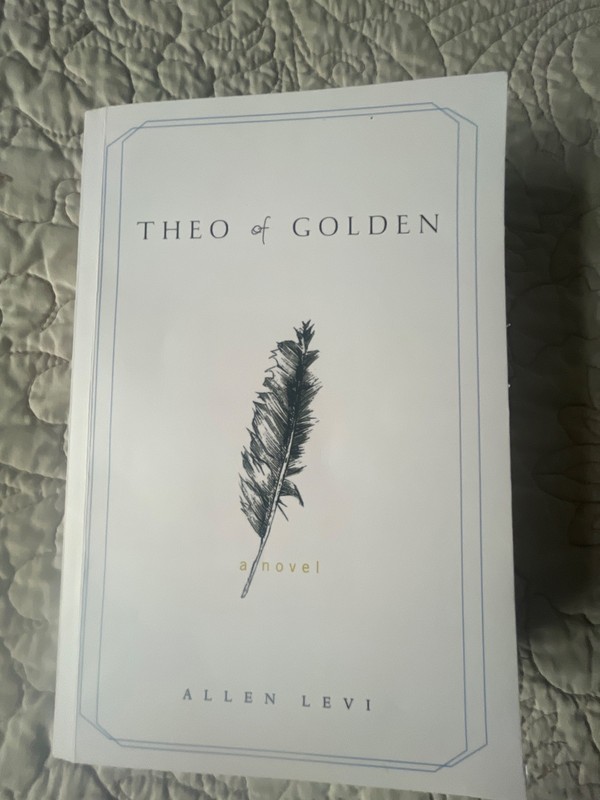 Theo of Golden : A Novel by Allen Levi (2025, Trade Paperback)