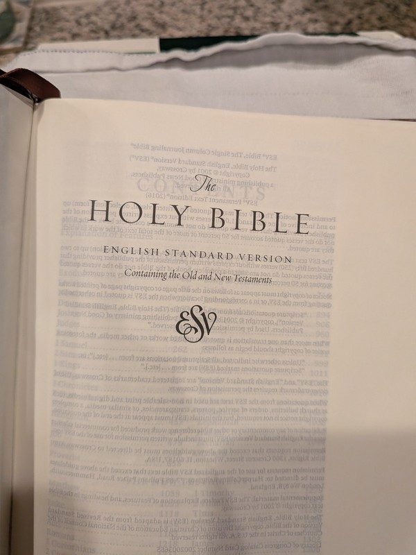 Crossway ESV Single Column Journaling Bible TruTone Leather Chestnut Leaves gallery