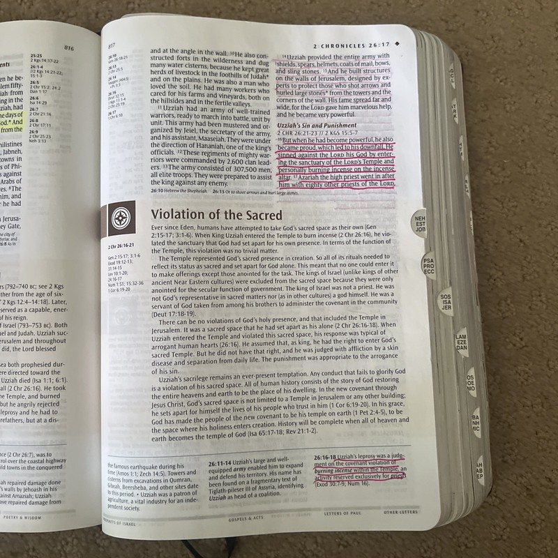 Illustrated Study Bible NLT, TuTone (LeatherLike, Black/Onyx, Indexed) Used gallery