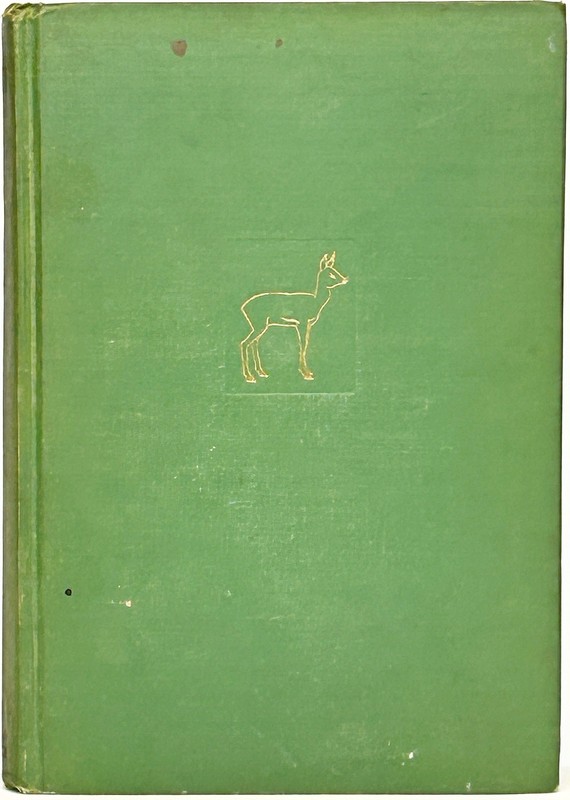 1928 edition BAMBI Deer FIRST PRINTING Antique Disney Fairy Tales RARE Childrens