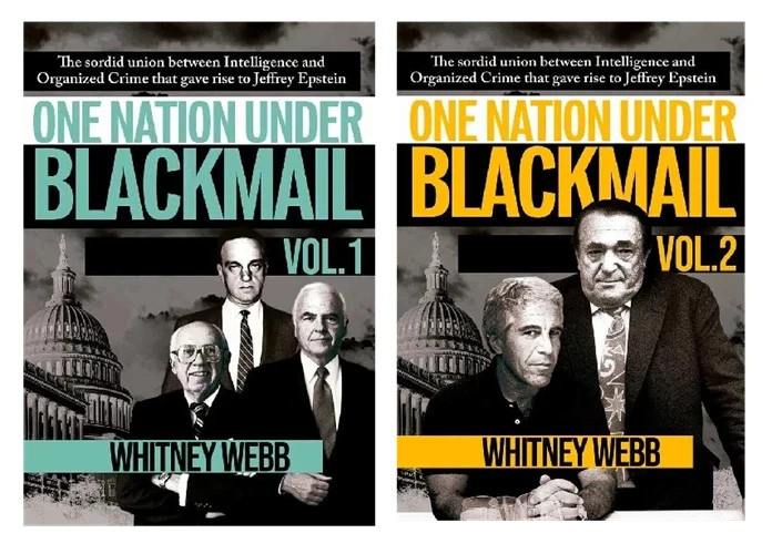 One Nation Under Blackmail - Vol. 1 & Vol. 2 by Whitney Alyse Webb, Paperback gallery