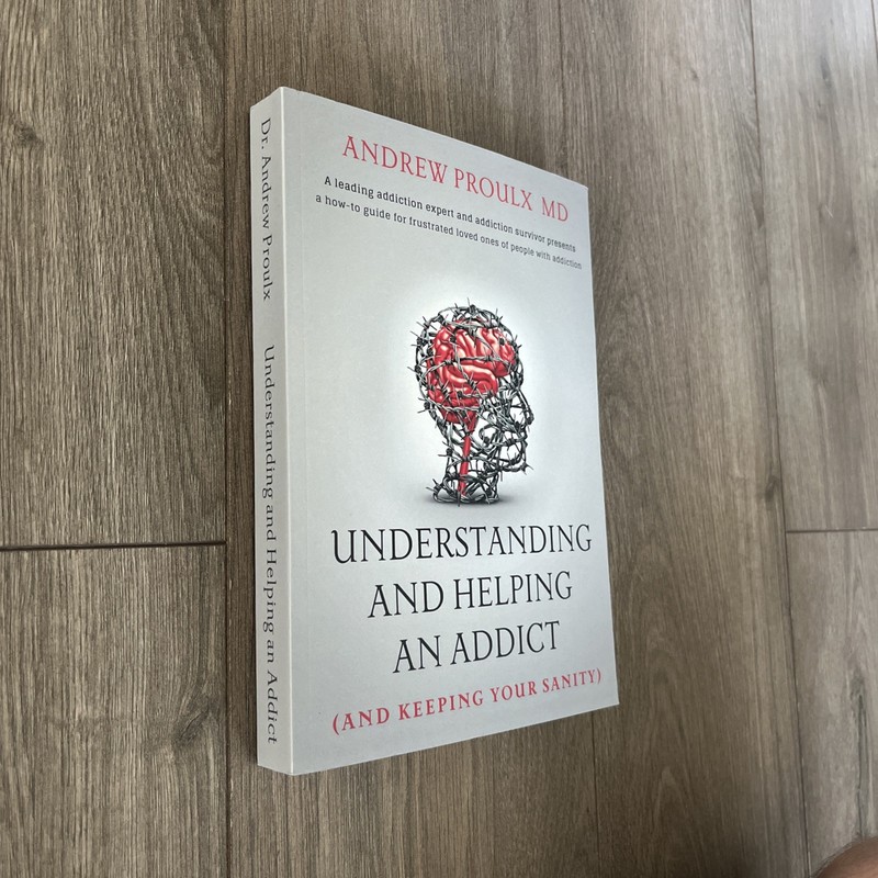 Understanding and Helping an Addict (and keeping your sanity) by Andrew Proulx gallery