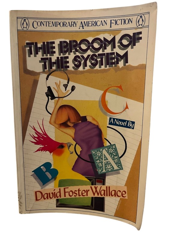 Broom of the System (Contemporary American Fiction Series)