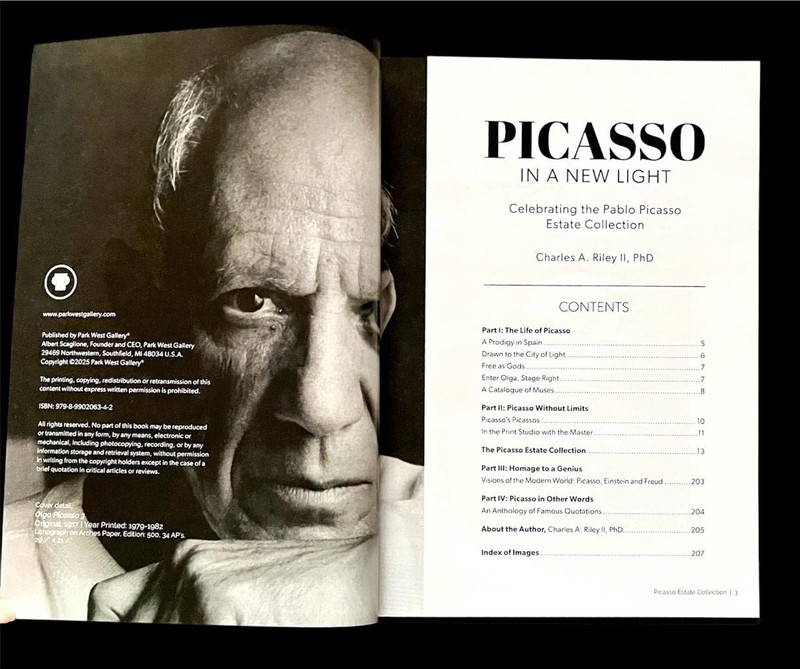 PICASSO In a NEW LIGHT ~ HC Book ~ Charles A Riley ~ 2025 ~ NEW Excellent Cond. gallery