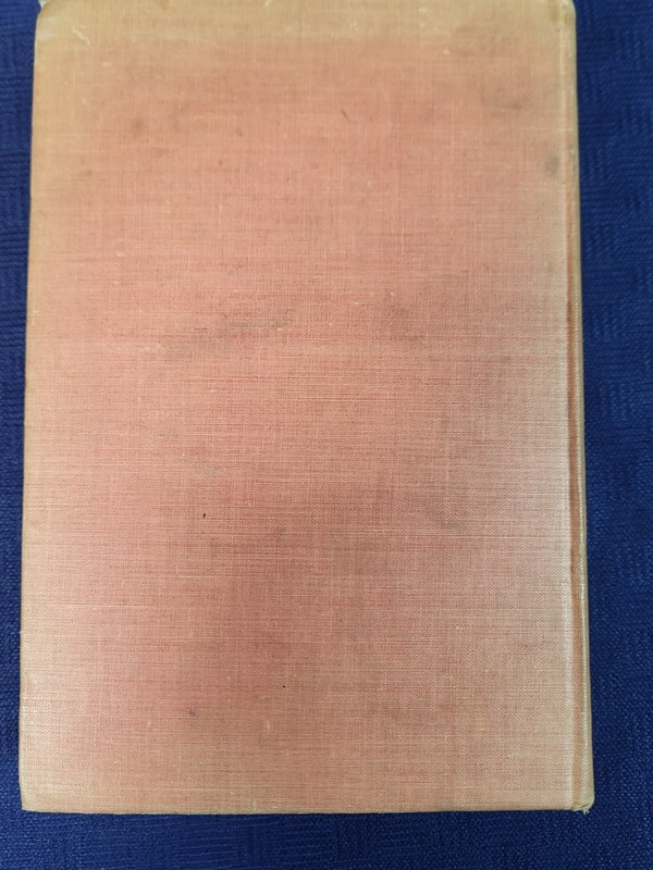 The Little Shepherd of Kingdom Come - 1903 Grosset and Dunlap Edition gallery